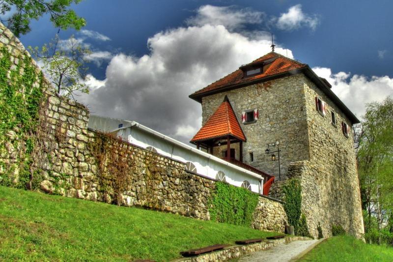 Aina Boutique Lasko
