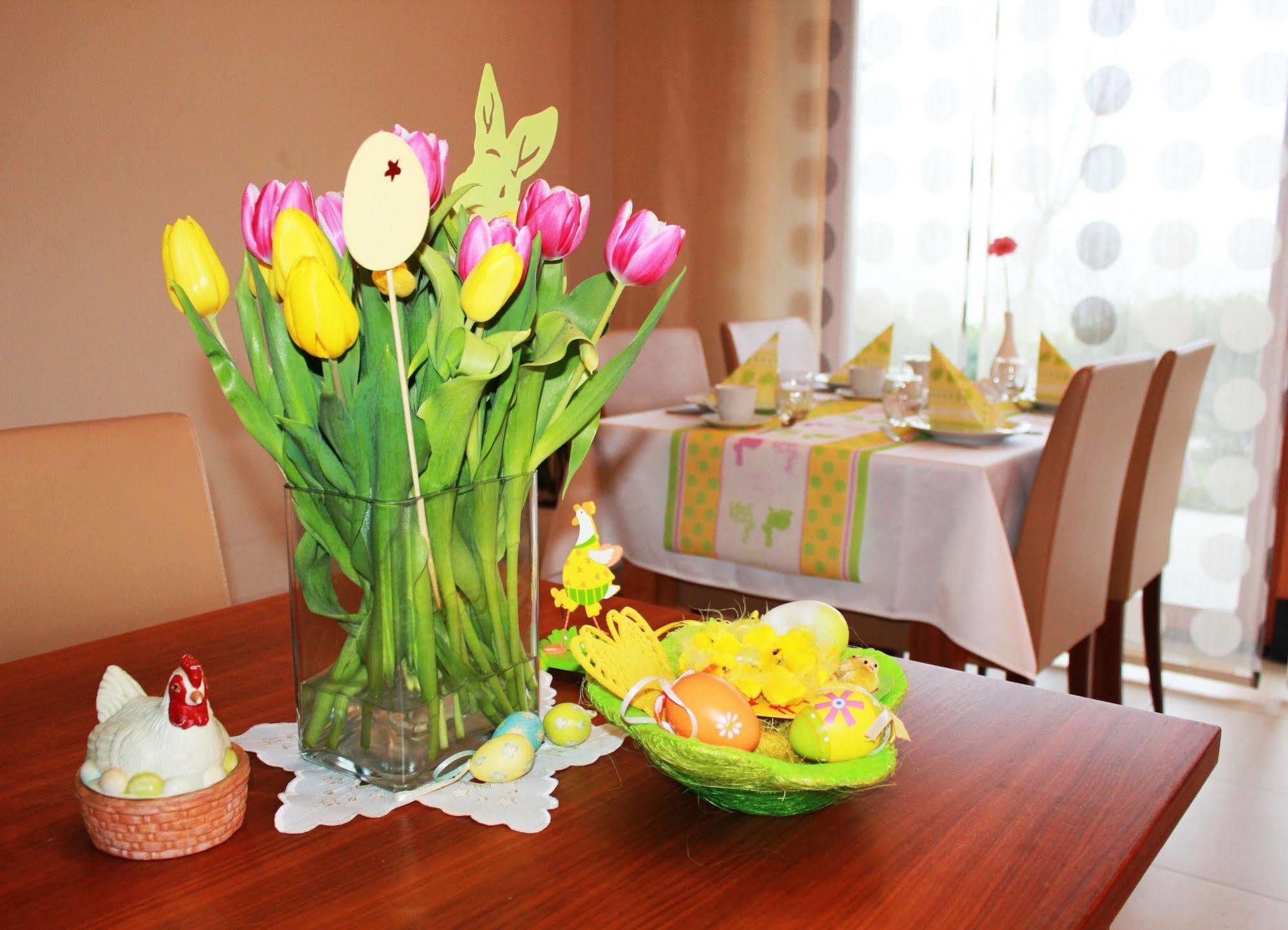 Hotel Aina Boutique Lasko
